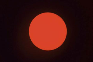 Sonne durch den H-Alpha-Filter aufgenommen, oben links ist eine Eruption sichtbar