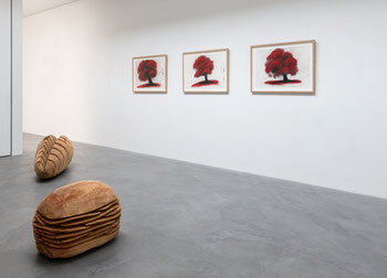 Blick in die Ausstellung „David Nash“ u.a. mit Red Tree 2012. Foto: Andreas Pauly