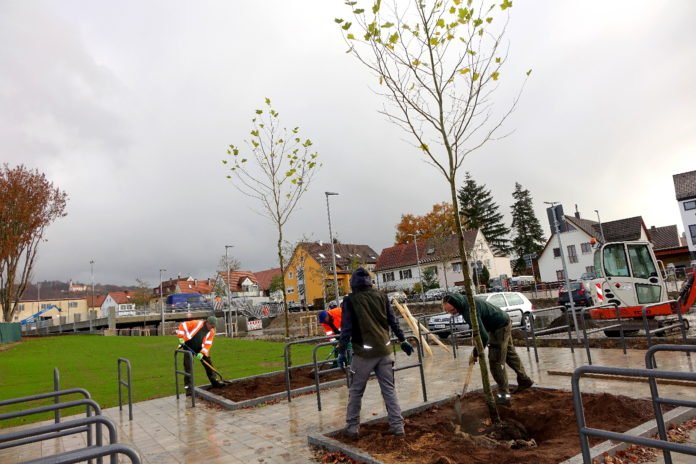Stadt pflanzt rund 3.900 Bäume und Pflanzen